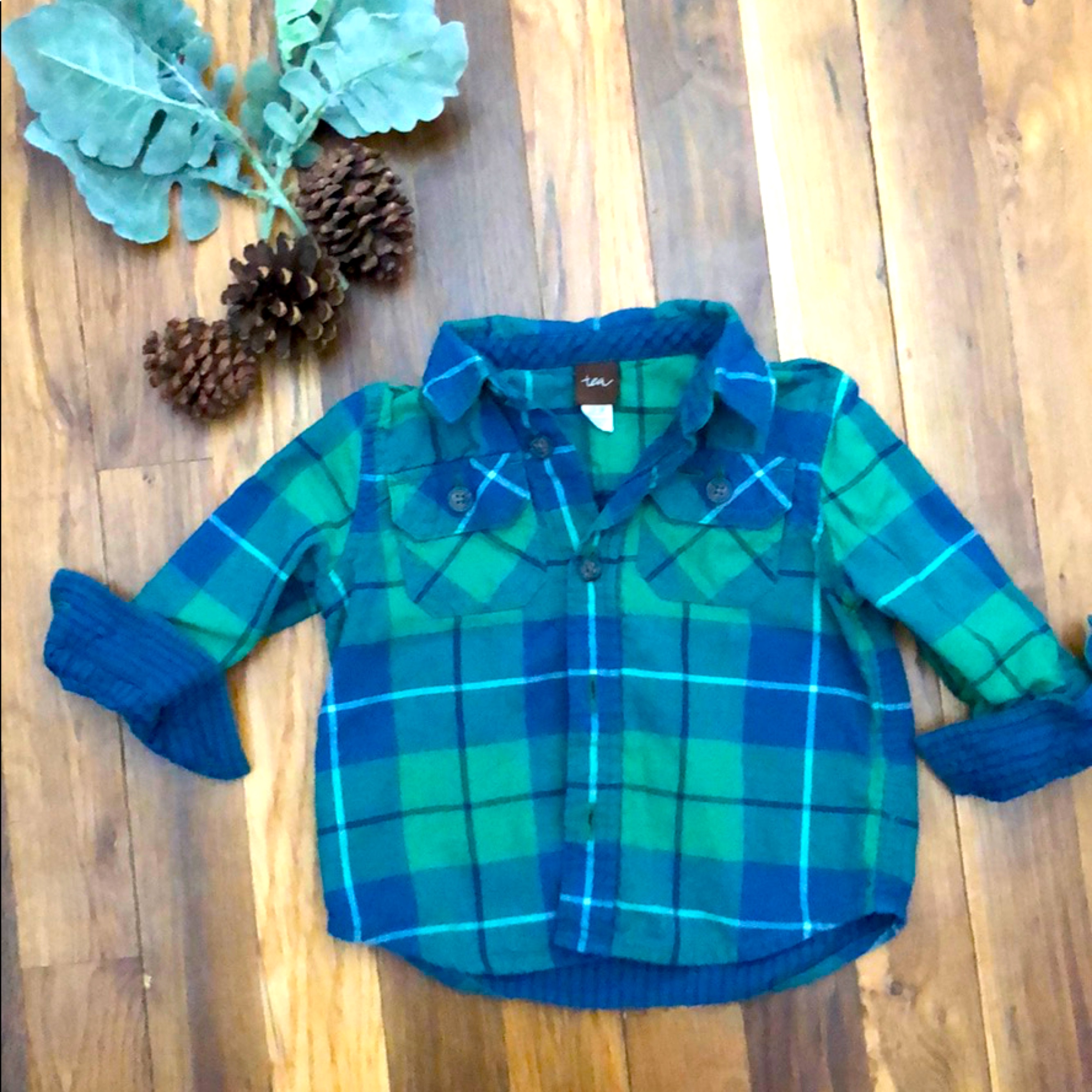 Toddler Tea Button Down